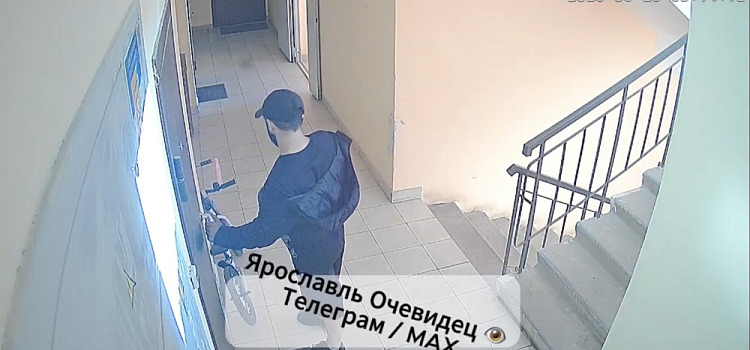 В Ярославской области «компашка домушников» организовала ночные вторжения и дневные преследования