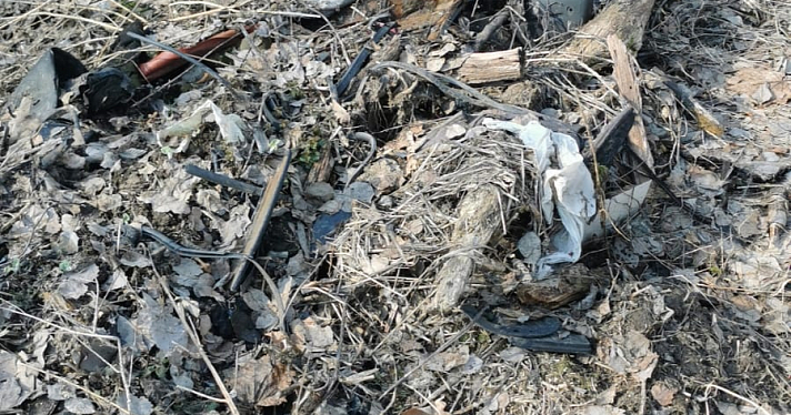 Жители Переславля пожаловались на мусорную свалку в национальном парке_237422