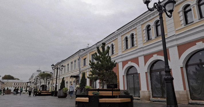 На улице Андропова в Ярославле «высадили» хвойные