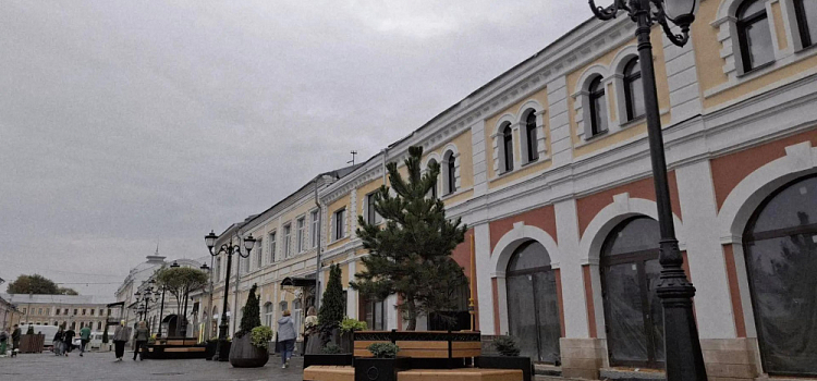 На улице Андропова в Ярославле «высадили» хвойные