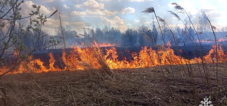 В Ярославле произошёл большой пал сухой травы