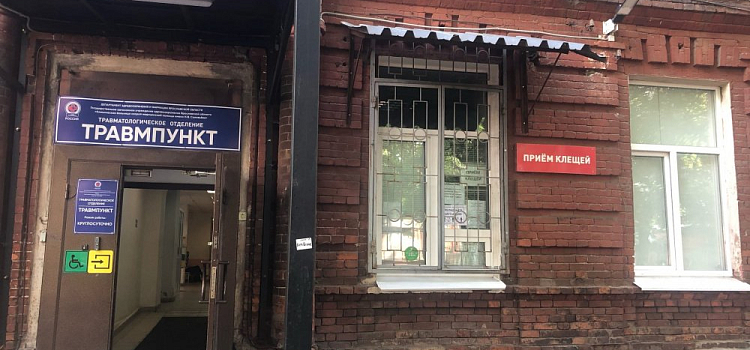 За неделю в Ярославской области 350 человек пострадали от укусов клещей