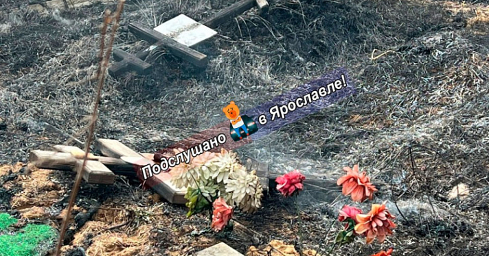 В Ярославле загорелось Осташинское кладбище