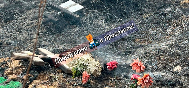 В Ярославле загорелось Осташинское кладбище