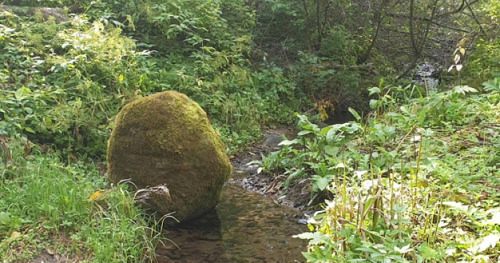 Суд обязал Ярославский областной водоканал выплатить почти два миллиона за загрязнение почв