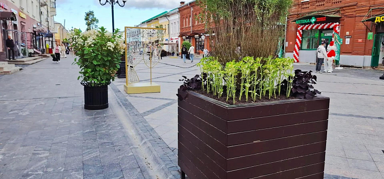В Ярославле на улице Депутатской «очистили небо»_321612