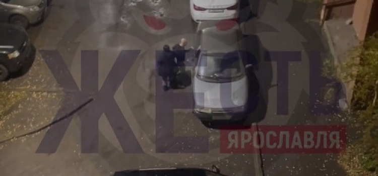 В Ярославле неадекватный мужчина расколотил стоящий во дворе автомобиль