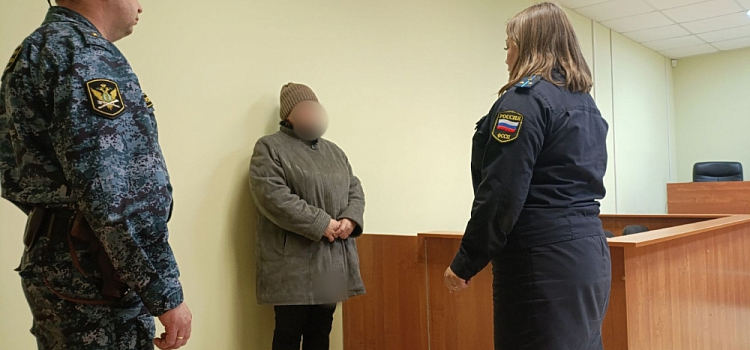 В прятки проиграла: в Ярославской области горе-мать скрывалась от приставов под горой одежды