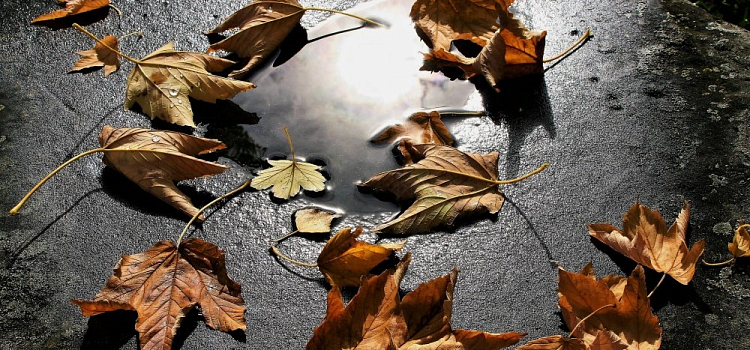 Экстренное предупреждение от МЧС на 10 сентября