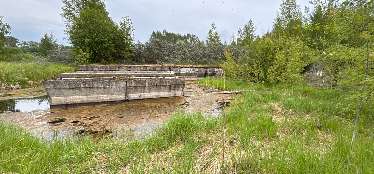 Чёрная смесь из-под земли и химический запах на всю округу: на Резинотехнике на поле с отходами гибнет всё живое_274364