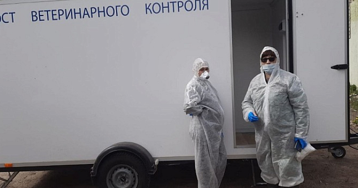 В Ярославской области пережили бешенство