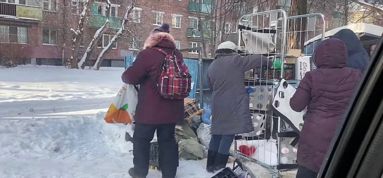 Фото дня. Ярославцы разбирают просрочку на помойке _172614