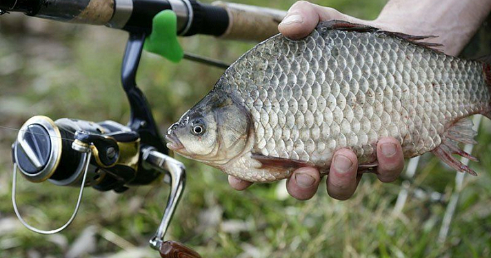 В Ярославском регионе начал действовать запрет на ловлю рыбы 