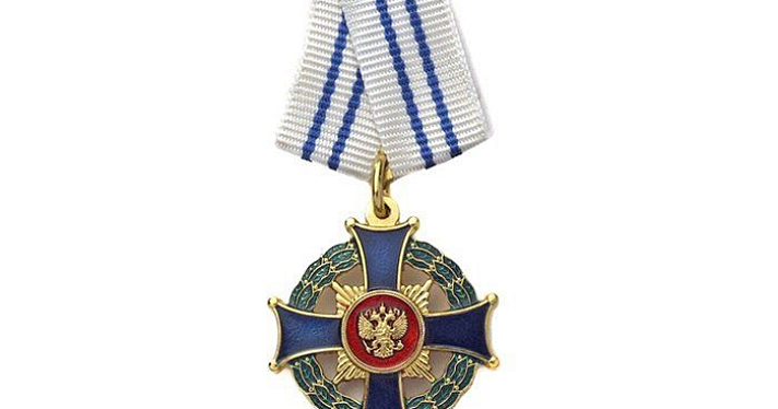 Многодетная мать из Ярославской области получила орден «Родительская слава»