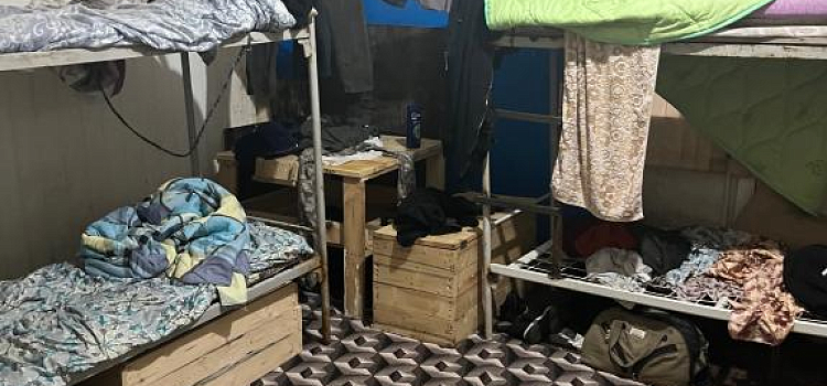 В Переславле-Залесском на лесопилке нашли трех нелегальных мигрантов_255391