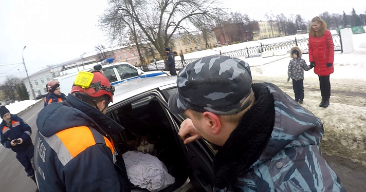 Лаяла и не пускала в авто: бездомная собака напала на женщину с ребёнком_171143