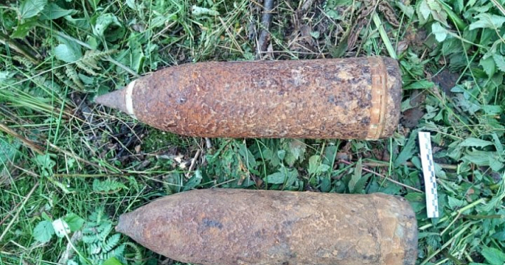 В Ярославской области в лесу и близ железнодорожного полотна обнаружили боеприпасы