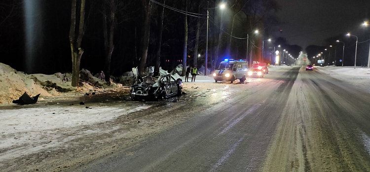 В Ярославской области пассажир иномарки заживо сгорел в автомобиле_234863