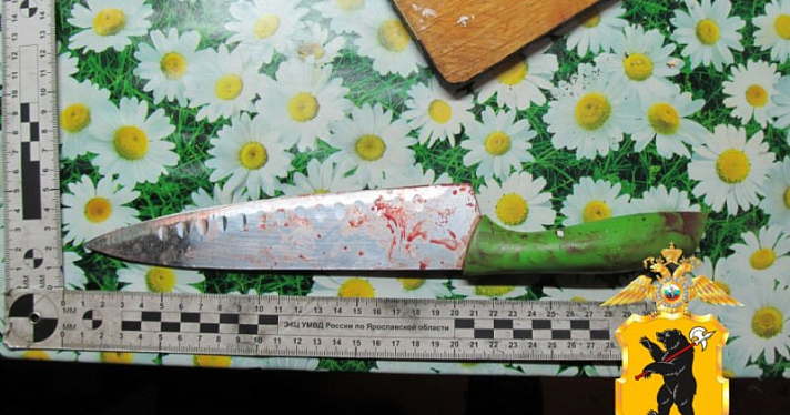 В Заволжском районе Ярославля мужчина ударил товарища ножом в шею
