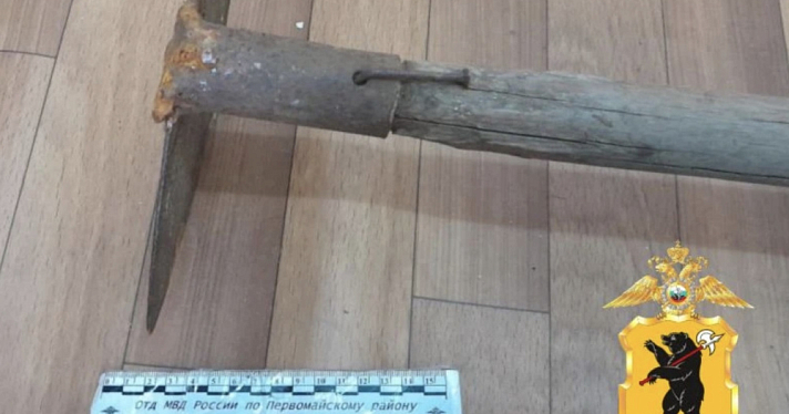 В Ярославской области мужчина ударил знакомую тяпкой и лёг спать