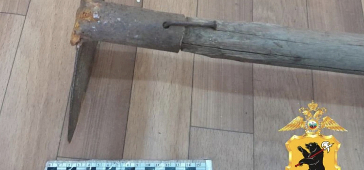 В Ярославской области мужчина ударил знакомую тяпкой и лёг спать