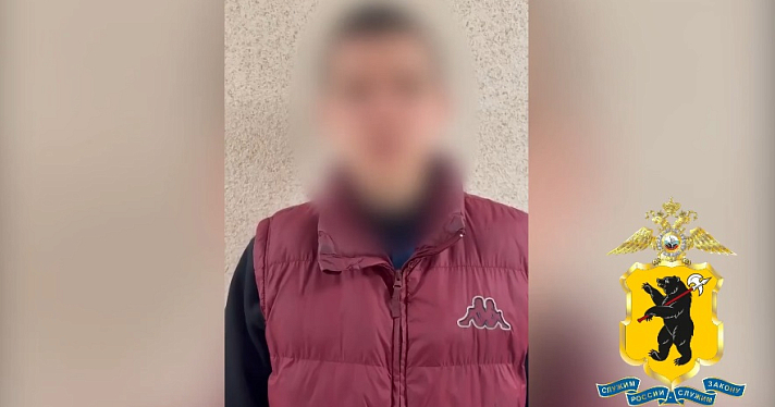 В Ярославле задержали ещё двух участников драки в ТЦ