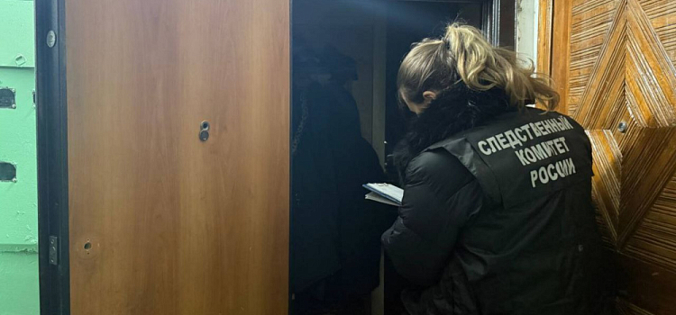 В Гаврилов-Яме мужчина расправился с родственницей