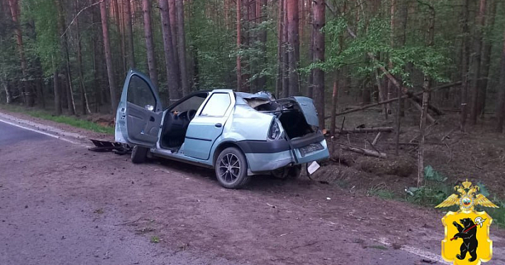 Погиб пассажир: в Ярославской области произошло смертельное ДТП
