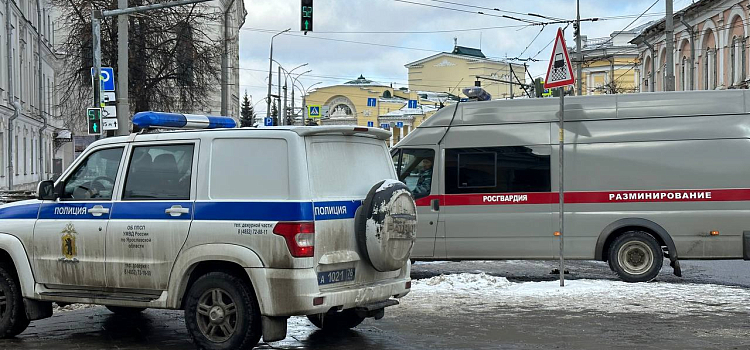 На месте работали саперы: в центре Ярославля полиция эвакуировала ресторан_234089