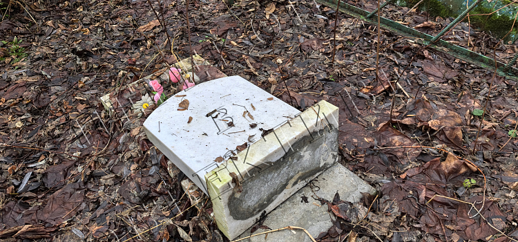 На Донском кладбище Ярославля повредили старинные надгробия_307768