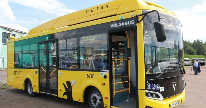 58 миллиардов рублей: столько потратят на автобусные перевозки в Ярославле