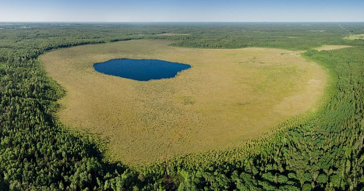 В Ярославской области открылась экотропа длиной 150 километров