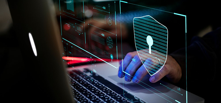 Эксперты зафиксировали рост DDoS-атак на бизнес в Ярославской области