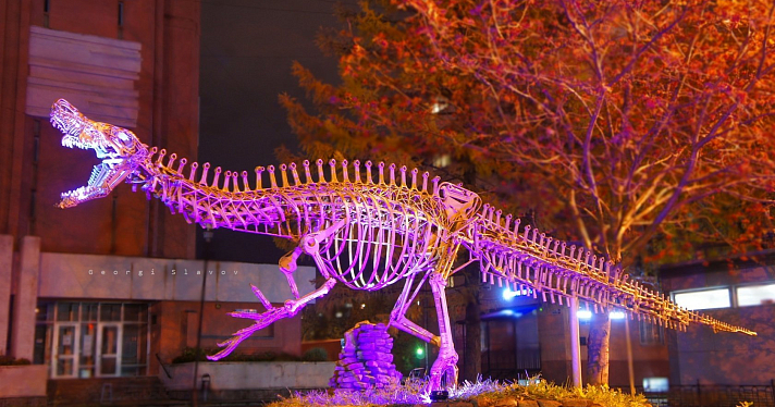 Фотохудожник подсветил скульптуру динозавтра у ярославского градостроительного колледжа_161205