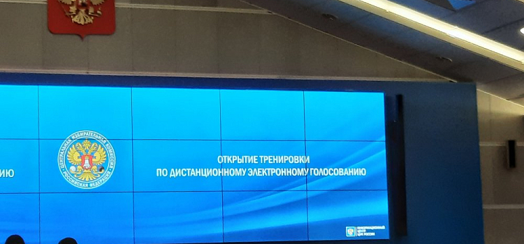 Более 60 тысяч ярославцев зарегистрировались для дистанционного электронного голосования 