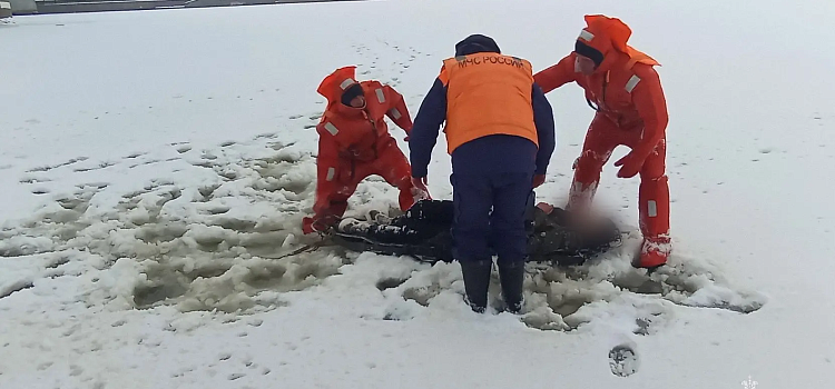 В Ярославле под Октябрьским мостом едва не утонул молодой человек_309793