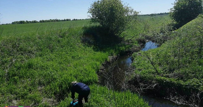 Вода в реке Норе у полигона «Скоково» в норме — правительство области