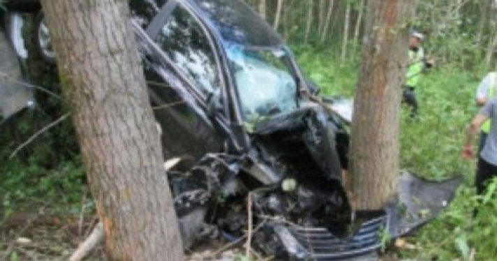 В Переславском районе автомобиль врезался в дерево: есть пострадавший 