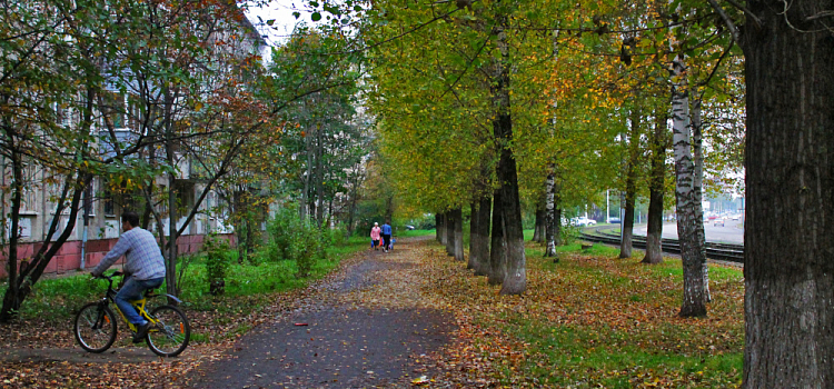 Отошёл на минутку: в Дзержинском районе Ярославля у рыбака украли рюкзак