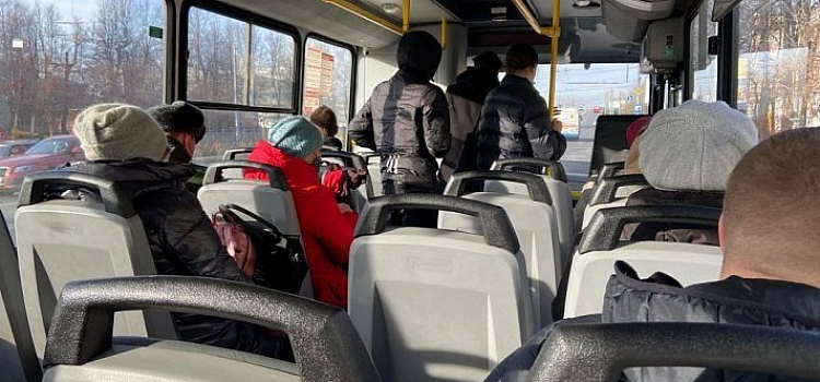 Межмуниципальные автобусы Ярославской области переходят на летнее расписание