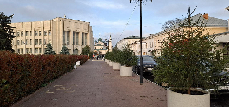 Улицу в центре Ярославля посреди октября украсили ёлками_305115