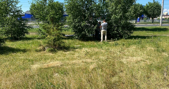 В Ярославле обнаружили тело 29-летнего мужчины в кустах