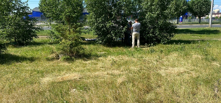 В Ярославле обнаружили тело 29-летнего мужчины в кустах