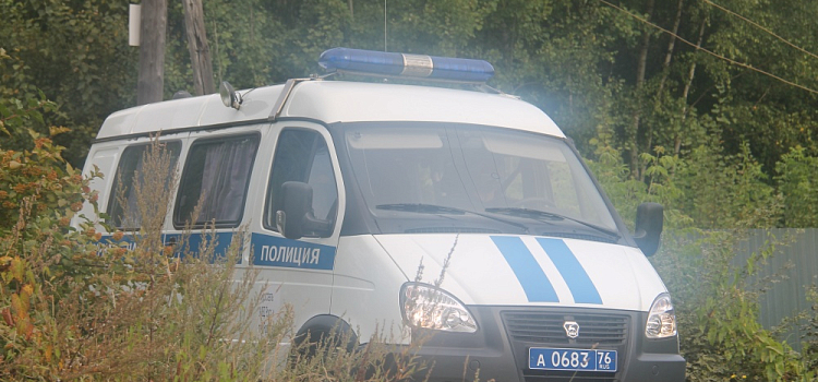 Дай планшет позвонить: в Ярославле на улице ограбили мужчину