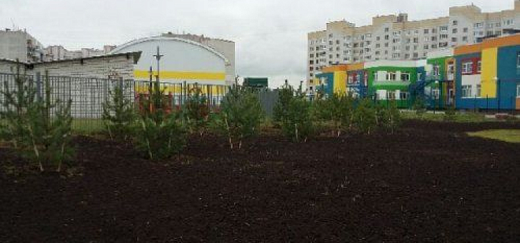 У детского сада №148 в Ярославле благоустроили территорию 