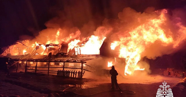 Сигарета привела к пожару: в Ярославской области погибли люди и животные