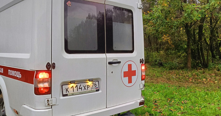 Фельдшеры идут больше километра: в Рыбинском районе «скорая» не смогла проехать к пациенту
