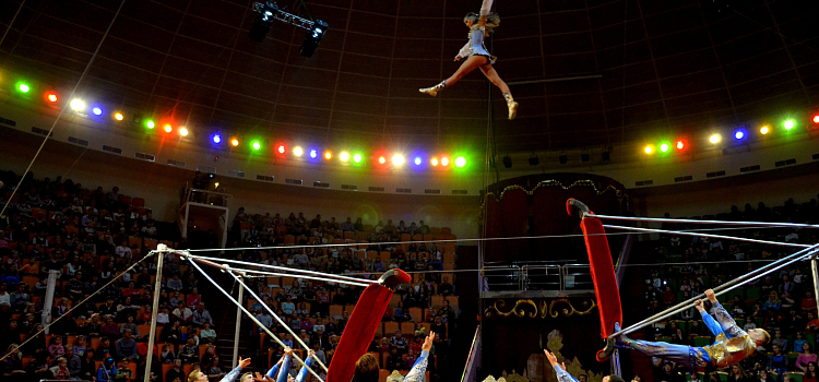 Ярославский цирк представляет новую программу!_57127