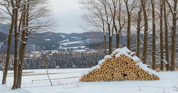 В Ярославской области молодой человек грозил забить женщину насмерть поленом