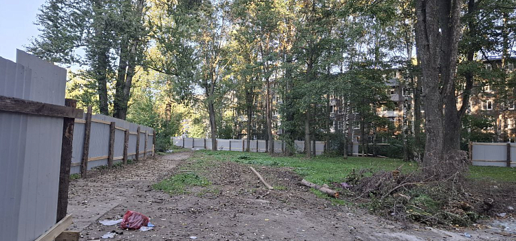 В Дзержинском районе Ярославля начинают большую стройку на месте зелёной зоны_305006